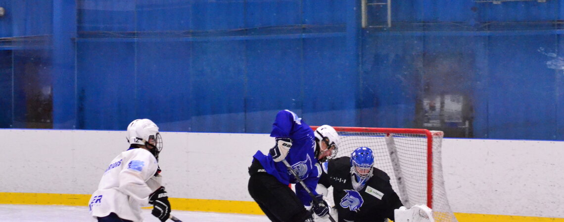 Junioři Warriors nechali na ledě Přerova všechno!